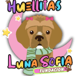 fundacion huellitas luna sofia