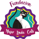 fundacion mujer linda cats