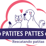 fundaciona patites patties